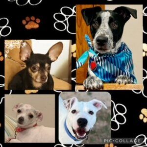 Meet your Posher, Flo C.